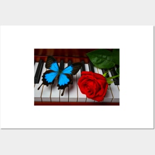 Red Rose And Big Blue Butterfly Posters and Art